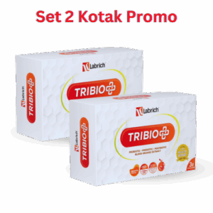 Set 2 Kotak
