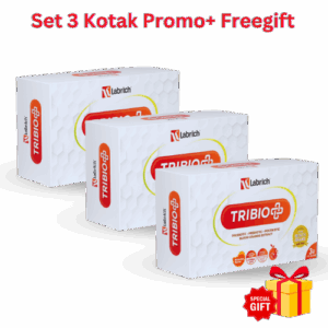 Set 3 Kotak + 1 Freegift